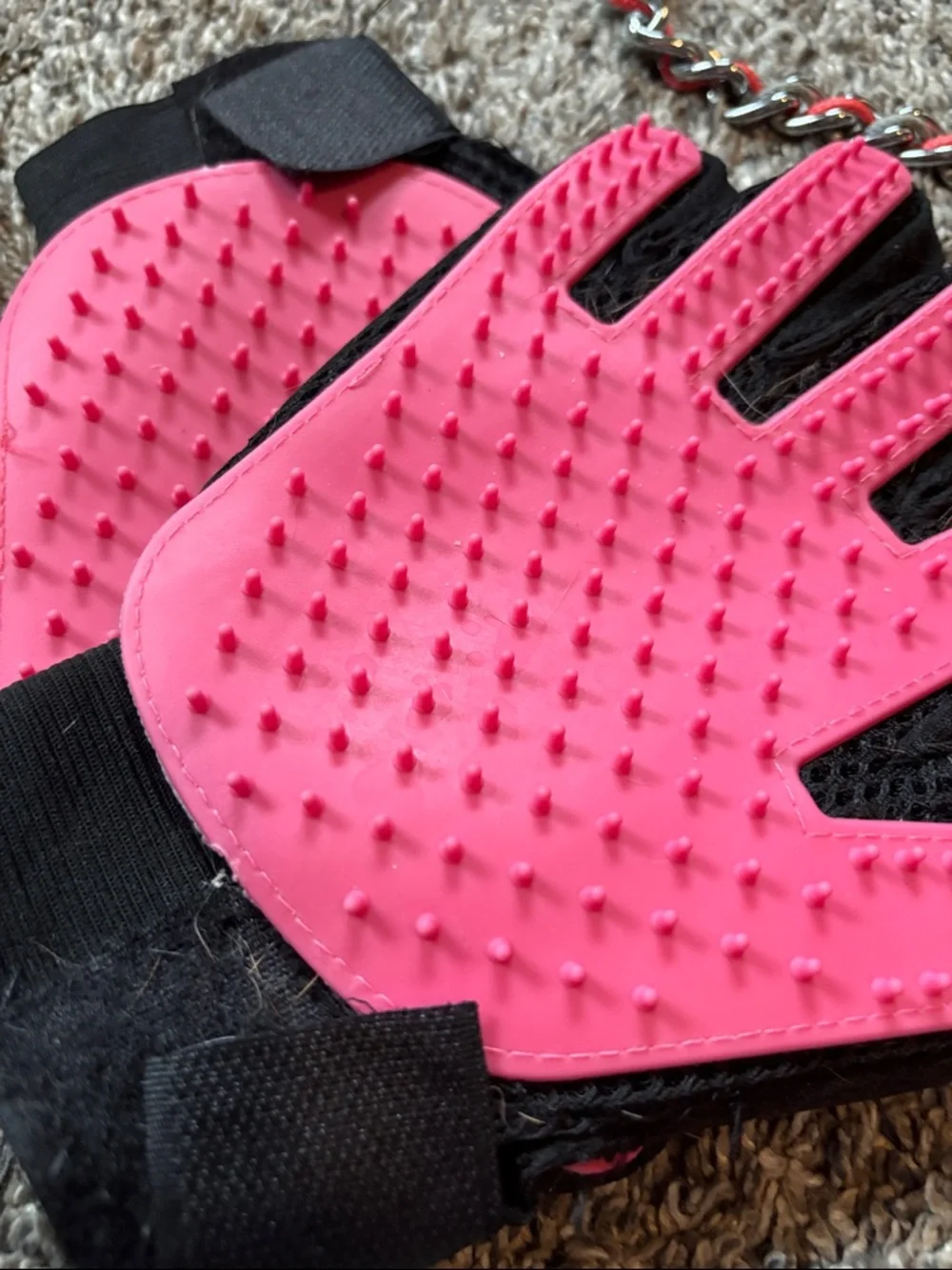 Dog Bath Gloves, lick mat & 🆕 Collar
